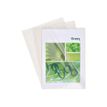 Exacompta - 10 Pochettes coin lisses - A4 - 13/100 - cristal translucide