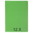 Exacompta Opak - 12 Porte vues - 60 vues - A4 - vert clair