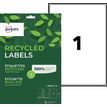 Avery Recycled Labels - recycled shipping labels - mat - 15 etiket(ten) - 199.6 x 289.1 mm