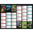 Bouchut - bankkalender - 2023 - wild animals - middelgroot - 420 x 320 mm