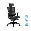 COUGAR Argo One Black - stoel voor spelers - polyvinyl chloride (PVC) leather, industrial grade fiber reinforced plastic (PAFRP), elastomer mesh
