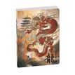 Agenda Samouraï - 1 jour par page - 12 x 17 cm - dragon - Exacompta