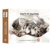 Agenda-Calendrier Chats et Chatons