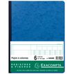 Exacompta - Piqûre comptable - 6 colonnes par page - 32 x 25 cm - 80 pages - bleu