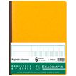 Exacompta - Piqûre comptable - 6 colonnes par page - 32 x 25 cm - 80 pages - jaune