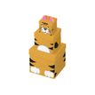 5033601508069-Clairefontaine - 3 Boîtes cadeau carrées - 15,5 cm x 12 cm - tigre/orange-P_405110202_1-0