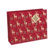 5033601497646-Clairefontaine Lovely Home - Sac cadeau rouge - 37,3 cm x 11,8 cm x 27,5 cm-P_405110225_2-1