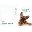 3592930019339-Agenda broché Chien - 1 jour par page - 12 x 17 cm - Bouchut-P_405114223_3-2