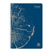 3210330684024-Clairefontaine Forever - Cahier à spirale A4 (21x29,7 cm) - 120 pages - petits carreaux (-P_405114367_4-1