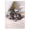 3664447114804-Cahier de textes Chaton - 15,5 x 21,7 cm - Oberthur-P_405114671_1-0