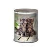 3664447120065-Oberthur Chatons Twins - taille-crayon-P_405114676_1-0