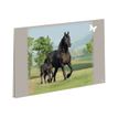 3664447114880-Oberthur Cheval COMPLICE sous-main-P_405114682_1-0