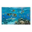 3135251384870-Viquel - Sous-main Poisson-clown ou Requin - 59,5 x 36,2 cm-P_405114927_2-1