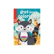 9782508051579-Mon gros livre de coloriage - Raton laveur-P_405116253_2-1