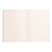 3037921173725-RHODIA Rhodiarama - cahier de notes - A5 - 80 feuilles-P_405116589_1-1