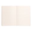 3037921173794-RHODIA-P_405116628_6-5