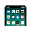 3701083036890-Apple iPhone X - smartphone reconditionné grade A - 4G - 256 Go - gris sidéral-P_405116691_13-8