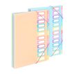 3135259881159-Viquel Rainbow Pastel - trieur à soufflet -  12 positions - pour A4 - à onglets - disponible en diff