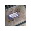 5014702144370-Avery - 18 Étiquettes congélations - 6,3 x 3,3 cm - Bleu-P_405118157_2-1