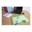 3130632564209-Exacompta - 10 Packs de 5 Pochettes perforées à scratch - A4 - couleurs assorties transl-P_405118361_9-5