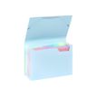 3135250111156-Viquel Rainbow Pastel - trieur à soufflet - 6 positions - pour A4 - à onglets - disponib-P_405118850_1-7