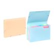 3135250111156-Viquel Rainbow Pastel - trieur à soufflet - pour A4 - à onglets - disponible en différe-P_405118850_2-0