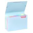 3135250111156-Viquel Rainbow Pastel - trieur à soufflet - pour A4 - à onglets - disponible en différe-P_405118850_3-1