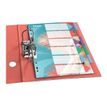 4049793076423-Esselte Colour'Breeze - Intercalaire 6 positions - A4 - polypropylène multicolore-P_405118922_1-2