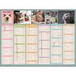 3592930026740-Calendrier bancaire illustré année civile BOUCHUT "Chat Medium" 32 x 42 cm Pefc 70 %--0