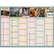 3592930026740-Calendrier bancaire illustré année civile BOUCHUT "Chat Medium" 32 x 42 cm Pefc 70 %--1
