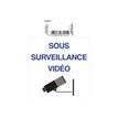 3130630670414-Exacompta - Pictogramme - Surveillance vidéo - 100 x 100 mm-P_405121372_2-0