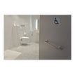 3130630671916-Exacompta - Pictogramme - Handicapés - 75 x 75 mm - aluminium brossé-P_405121419_3-1