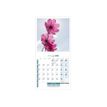 3592930027273-Calendrier illustré BOUCHUT 15 x 15 cm FLEURS Pefc 70 %-P_405121457_1-4