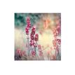 3592930027273-Calendrier illustré BOUCHUT 15 x 15 cm FLEURS Pefc 70 %-P_405121457_11-9