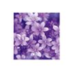3592930027273-Calendrier illustré BOUCHUT 15 x 15 cm FLEURS Pefc 70 %-P_405121457_12-10