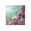3592930027273-Calendrier illustré BOUCHUT 15 x 15 cm FLEURS Pefc 70 %-P_405121457_3-17