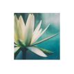 3592930027273-Calendrier illustré BOUCHUT 15 x 15 cm FLEURS Pefc 70 %-P_405121457_8-3