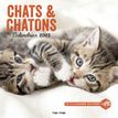9782755698497-Calendrier Mural Chats et Chatons 2023-P_405122630_1-0