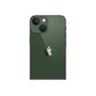 194253121824-Apple iPhone 13 mini - Smartphone - 5G - 512 Go - vert-P_405127868_5-3