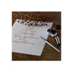 4004675157683-Schneider Callissima - Stylo plume pour calligraphie - 1,8 mm - corps anthracite - encre b-P_405127924_5-1