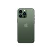 194253119333-Apple iPhone 13 Pro - Smartphone - 5G - 128Go - vert alpin-P_405127942_5-3