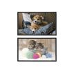 3135251306094-Viquel Fantaisie Animaux - Sous-main - 59,5 x 36,2 cm - PVC - Chatons / Chiots-P_405128741_3-0