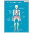 3592930011050-Fiche mémo souple Corps Humain - 20,5 x 26,5 cm - Bouchut--0