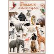 3592930015775-Bouchut - Poster pédagogique effaçable - 52 x 76 cm - Animaux sauvages-P_405129441_1-0