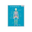 3592930011050-Bouchut - Fiche mémo Corps humain - double face - 265 x 205 mm-P_405129454_1-0