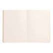 3037921174388-RHODIA Rhodiarama - Carnet souple A5 - 160 pages - pointillés - bois de rose-P_405129922_1-1