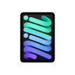0194252528792-Apple iPad mini (6ème gen) - tablette 8,3" - 256 Go - gris sidéral-P_405131565_1-0