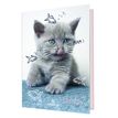3664447143842-Agenda Chaton - 1 jour par page - 12,5 x 17,5 cm - drôle - Oberthur-P_405131777_1-0