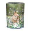 3664447142524-Pot a crayons Lapin - 6,5 x 10,8 cm - Oberthur-P_405131793_1-0