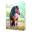 3664447143910-Agenda Cheval - 1 jour par page - 12,5 x 17,5 cm - brun - Oberthur-P_405131809_1-0